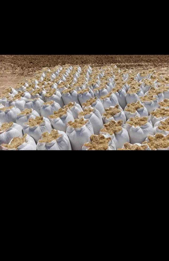 السلام عليكم يوجد تبن للبيع درجه اوله ابيض مال السنه توصيل للبيت مجاني حجم الكيس 55//السعر 2500//رقم التلفون ***********///***********

