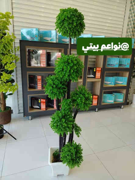 اشجار صطناعيه بموديلات مختلفه يعطي منظر جميل وراقي 
توت توت تعالي النواعم بيتي كلشي موجود😜🤪😋
🧿﷽ 🧿
#نواعم بيتي المواد المنزليه
بضاعة جديدة ومنوعة موديلات واشكال مختلفة راقية وأنيقة ومفيدة جدا تجدونها في نواعم بيتي  
العنوان / العزيزية شارع سيد عزي مجاور علي العتبي للذهب عمارة احمد صبر
يتوفر لدينا خدمة توصيل داخل العزيزية مجاناً 
توصيل لكافة محافظات العراق

👌للحجز ارسال صورة المنتج ورقم الهاتف 
الحجز مراسلة الصفحة أو الاتصال على الرقم ***********\*********** 
🏠الدوام من الساعة التاسعة صباحاً  لغاية الساعة التاسعة ليلآ
اسعارنا تنافسية ومخفظة جداً ....ويدللون 😁😃
نواعم بيتي #تسوق #ترند#تسوق
