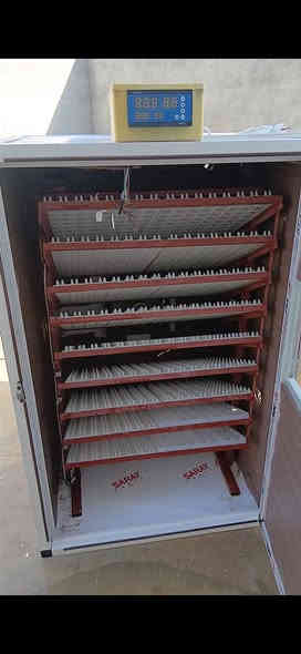 فقاسة 1600 بيضة فول اوتوماتيك. مستعمل. شهرين سعر من الاخير ٣٧٥ الف
عنوان موصل قضاء حمدانية قريةوردك
***********
