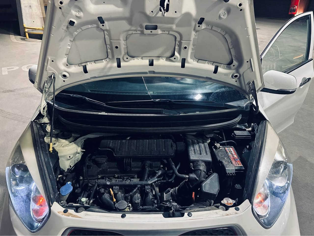 السلام عليكم اخوان اكو هاي كيا بيكاتو موديل ٢٠١٥ صفر شريكه سياره بعده جديد بل باكيت سياره فول فول مواصفات الون ابيض الثلجي كلش حلو سياره والا صبغ والا طخه ابد والا تبديل محرك كير شرط فحص صبغ شرط فحص بي بل باب سايق شووه ييه تعديل ماي بين اصلن بل جووه ٥ اصابيع فقط باقي سياره شرط  محرك كبير مواصفات فول 
فتحه 
بصمه 
بلاجكتور و ليد 
مرايه شفت و ايشاره 
بريك ABS
حساس 
ويل كب شريكه 
ليد بل لايتات 
تحكمات علي ستيرن 
مسجل سيدي و اواكس و بلوتوت 
تايرات جديد 
سنوييه و ارقام جديد 
محرك كبير مامفتوح 
كير اوتو مامفتوح 
سياره ماشي ٥٩ الف كم شرط فحص 
سبير منازل 

سعر سياره ١٠٢ 
مكتني سليمانيه هذا ره قم بي واتساب ***********
كشنات جلد و لونين 
فول بعد بي مواصفات السليمانية, العراق
