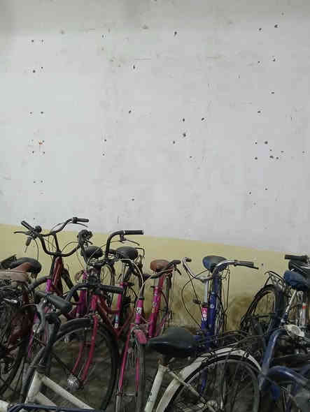 سلام عليكم بيسكلات البيع مكان ناصريه سوك الشيوخ تقاطع الوئلي رقم ***********
