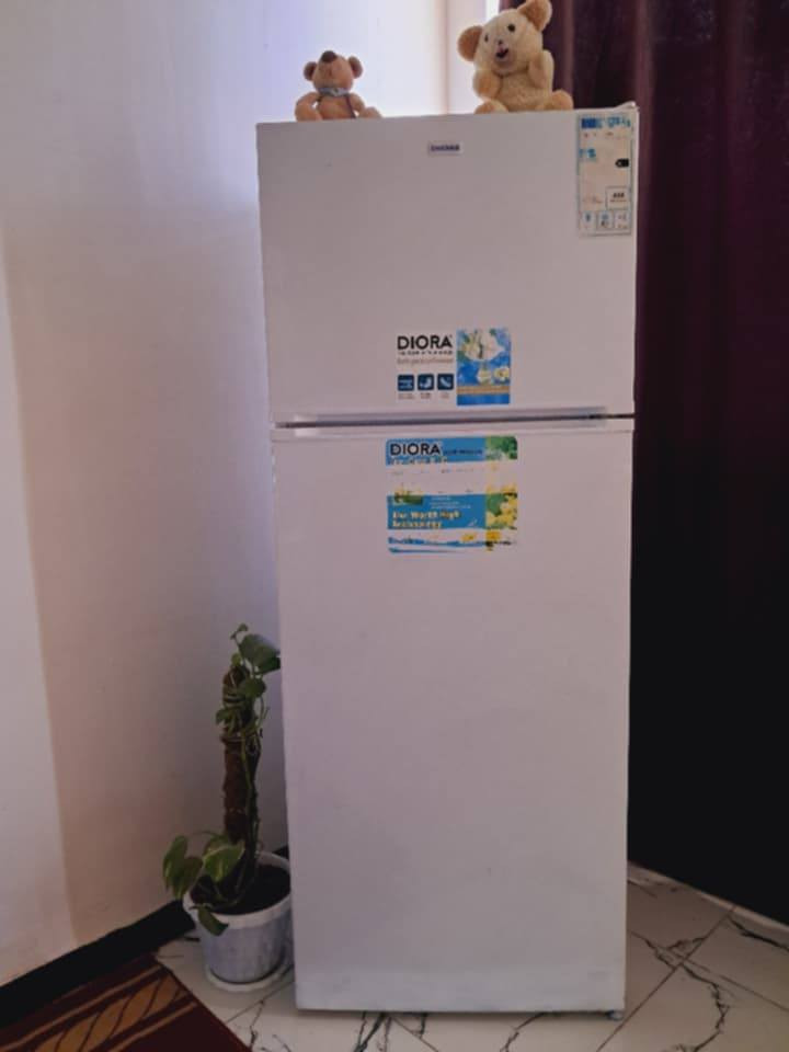 ثلاجة حجم ٢٨ ب٣٠٠ 
طباخ فريش مصري جديد ١٧٥ بي مجال بلعبيدي


**إذا كنت صاحب هذا الإعلان وتريد حذفه لأي سبب، رجاءا أرسل رسالة إلى الدعم الفني**