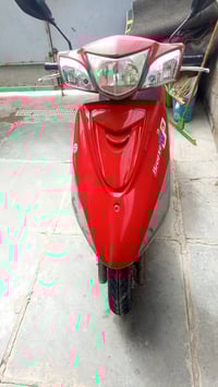 درجة فريز بغبغاء للبيع ب750 الرقم 07711722982  بغداد الأمين الثانيه