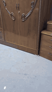 يعلن معرض الموسوي عن وجود غرفه نوم ست أبواب وملحق داخل وخارج صاج ضهر ج...