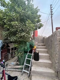 بيت طابقين • ٤غرف • طابو