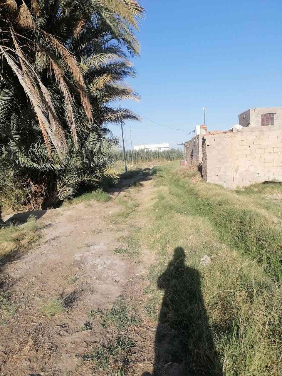 للبيع : أرض زراعيه خلف السده مباشره (مدينة الرمادي).
     طابو زراعي سند (25) تحويل مباشر ضمان حقوق
      المشتري..موقع جيد جدا وجميع الخدمات متوفره 
       رمادي البوعيثه قرب مزرعة الزعيم.
      المساحه / 2 ونص دونمين ونص/ ماء وكهرباء 
     للاستفسار مع مكتب أبو وسام للعقارات
    للجاد بالشراء الإتصال على الرقم/ ***********
     مكتبنا رمادي شارع٤٠ مقابل جامع الواثق
