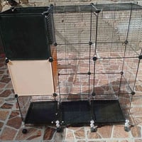 قفاصة • متاح