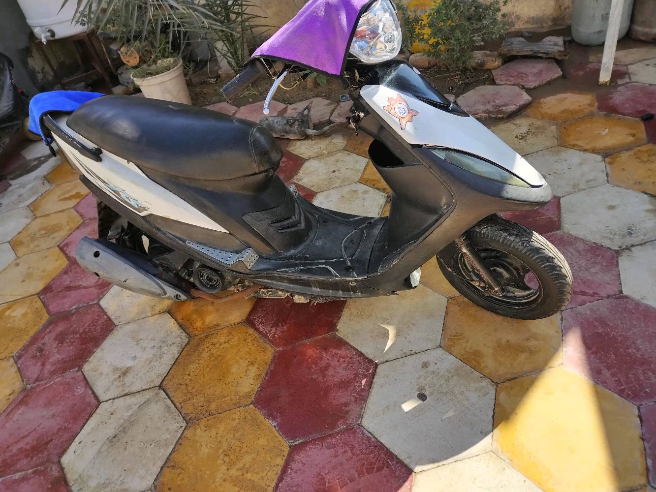 ماكينة ستوتة عملية مع غطاء مقعد، مثالية للحركة السريعة داخل المدينة. اللون الأسود والأبيض يعطيها مظهر أنيق.