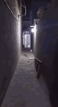 السلام عليكم عندي بيت البيع ابحي الوفاء دولان المساحه 95 متر المنطقة 38 السعر 87 مليون ***********
