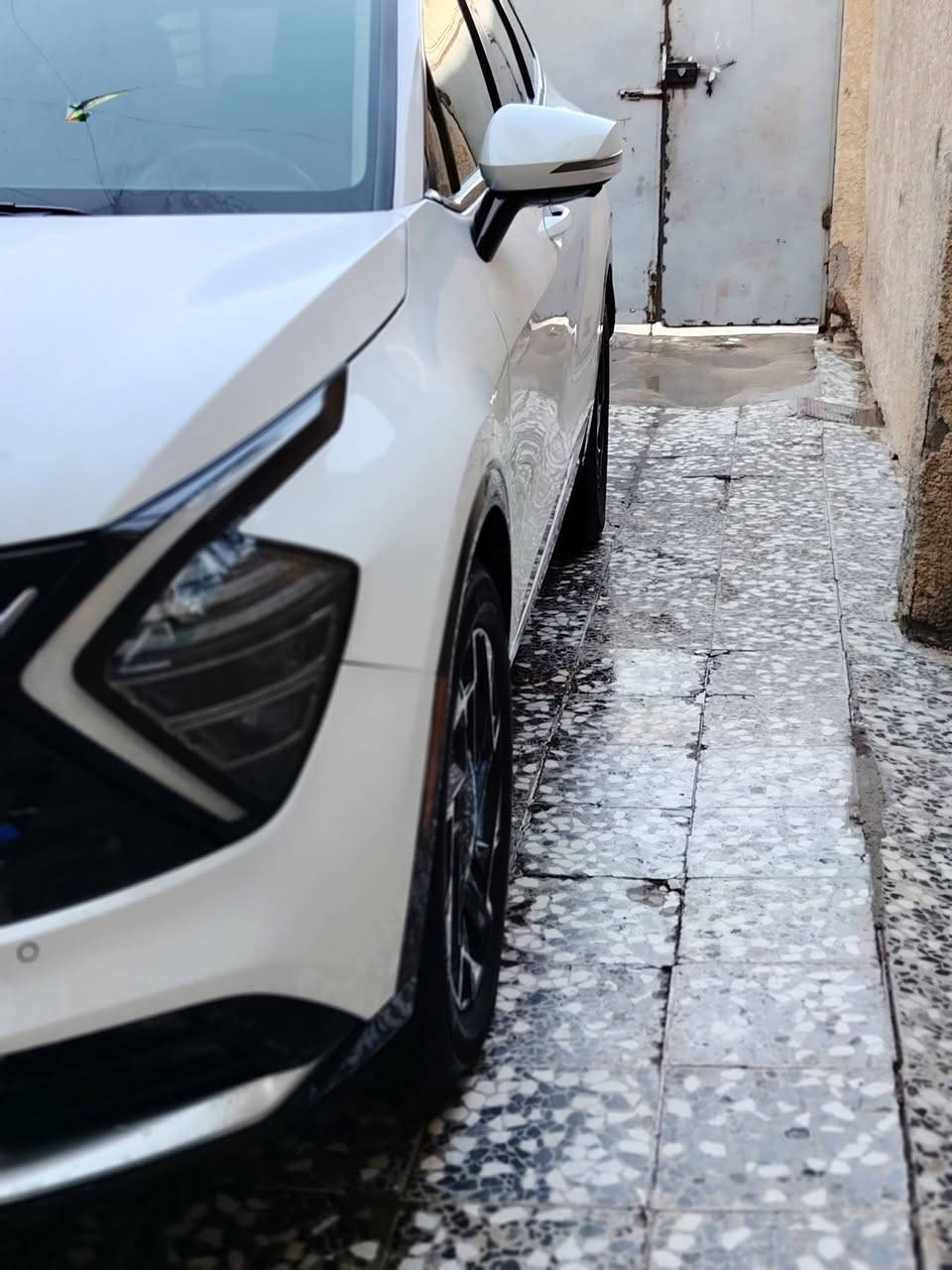 سلام عليكم سبورتج برستيج2023 أمريكي حادث بنيد جاملق رقم بغداد الإنكليزي سنويه جديده تحويل مباشر مكان بغداد ارفلي ***********
