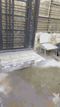 الشعله الدوانم • ١٥٠م