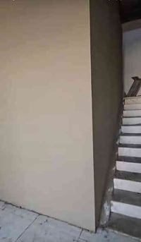 لباخ مصري • متفرغ • بغداد