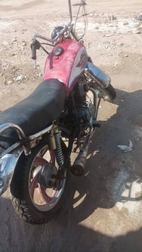 موديل 16 • أوراق أصلية • كوت جديدة