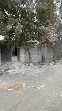 دار زراعي • قرار ٣٢٠ • ١٥٥م