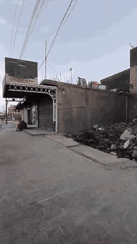 السلام عليكم
تفليش الدور القديمه وتسليم ارض جاهزه للبناء الحديث مع حدل 
الارض وفرش المواد الجلمود والسبيس عمل درجه اولى عملي داخل الكوت
 اتصال ابو زينب
***********
