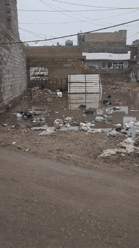 جرف الملح • ١٠٠م • طابو زراعي