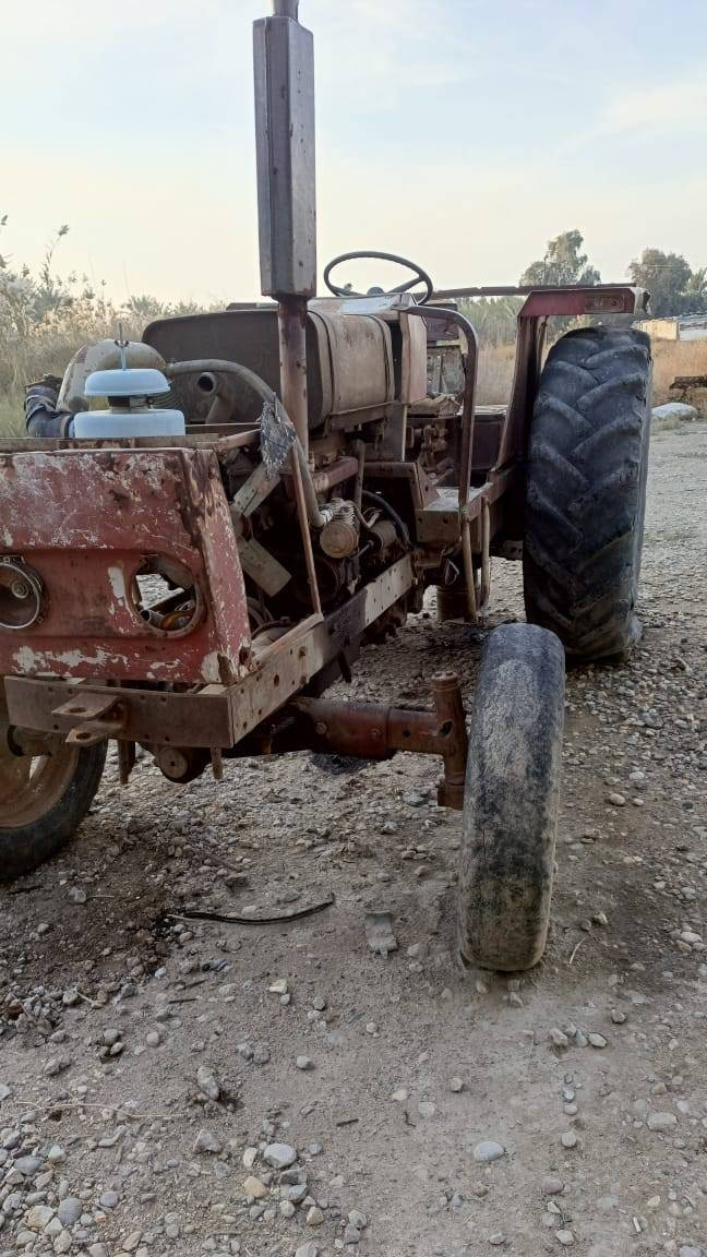 السلام عليكم عنتر ٨٠ للبيع رقم الموبايل ***********
