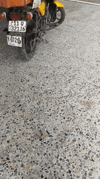 سلام عليكم شباب دراجة دايوان 2023مرقم بغداد سنوية بأ اسمي دراجة قبل حادث مكفولة كفالة عامة كلهة وجانت معروضة مليونين و250الف حالين سويت حادث بسيط عارضهة مليونين وبيهة مجال للطيبين عنواني بغداد قرب مدينة بسمايا 
رقم*********** عندي عملية ومتوازي عل بيعتهة يولد
