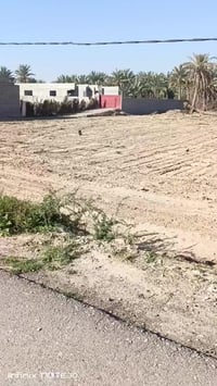 قرية نوفل • ٢٠٠م • ٤ قطع