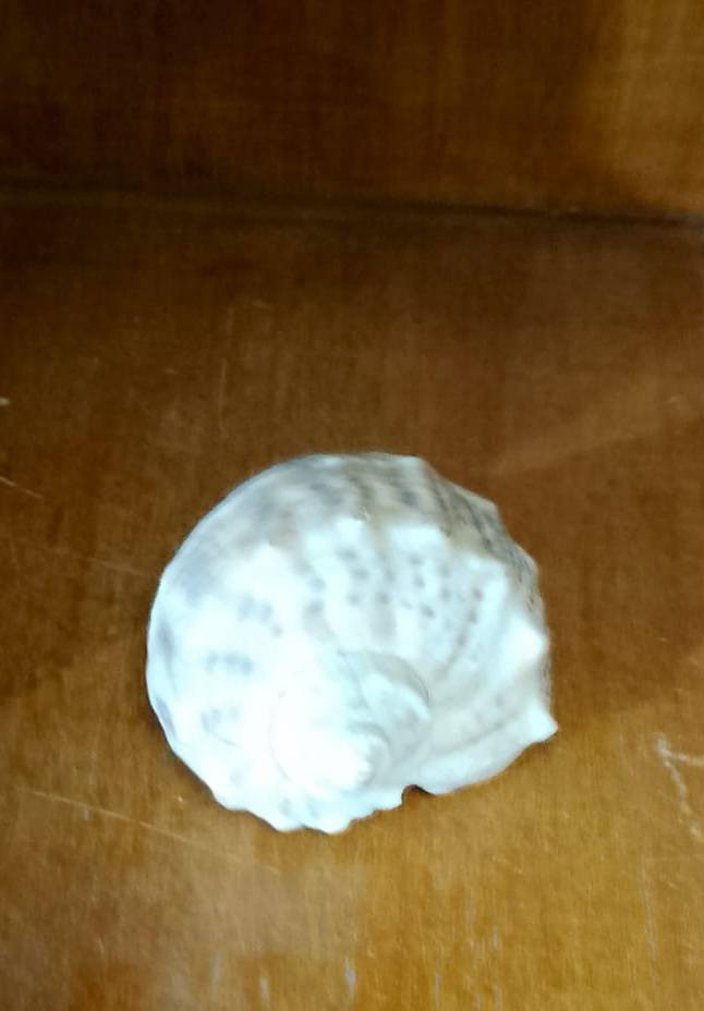 سعر الكول ٣٥٠ الف دينار قفل قفل
لا يوجد توصيل عنواني بغداد حي اور  رقمي بيه وتساب 
***********
