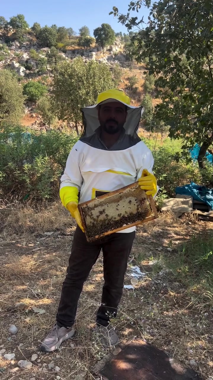 سلام عليكم بدء الحجز على العسل

عسل المصطفى
 عسل جبلي اصلي ١٠٠٪؜ 🍯🐝
غير معامل بالتسخين ،تغذية النحل برية بين جبال زاكروس
يتوفر عسل صافي +عسل خلية (شهد النحل )
، توصيل مجاني لجميع المحافظات


**إذا كنت صاحب هذا الإعلان وتريد حذفه لأي سبب، رجاءا أرسل رسالة إلى الدعم الفني**