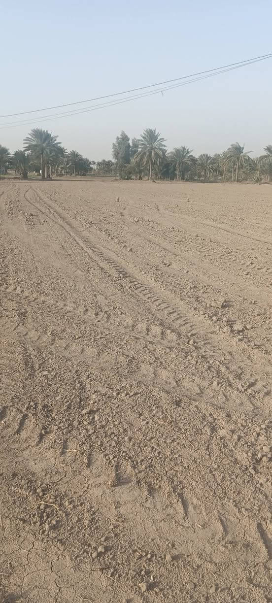 سلام عليكم ورحمه الله وبركاته
يوجد لدينا  3دونم للبيع طابو زراعي سند 25 شرط التحويل 

العنوان حله بابل قرب البوابه مال حله نجف 

خدمات مي كهرباء مولد شارع خاص بالأرض 

مسافه من البوابة أو شارع العام حوالي ٢ كم متر 

باقي التفاصيل اتصال على الرقم التالي *********** واتس اب
