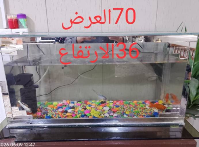 للبيع بلعامرية تواصل واتساب ***********
