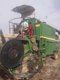 حاصدة • جوندير • ١٩٨٥