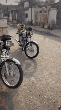 السلام عليكم دراجة نامة اصلي موديل 2026صارلهة سبوع من طالعة دراجة؟ ***********
