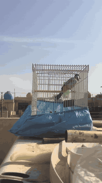 السلام عليكم مكلف بالنشر متاح بلبل فحل وحشي طور سكن بغداد الشعب 

الاتصال ***********

نهايته ب ٤٠ بدون قفص
