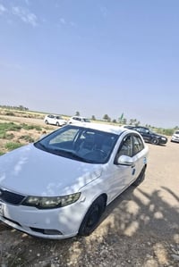 موديل ١٣ • نص فول • رقم اربيل