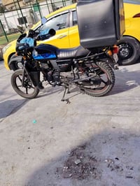 دايون 2025 • شمالي سليمانيه • باسمي