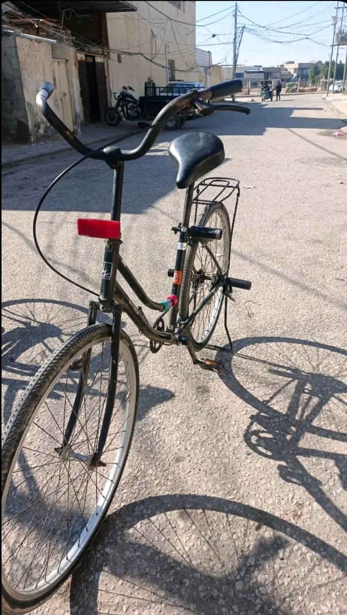 السلام عليكم باسكل البيع مديل 2012بي جاملغ ورا بس وصنيا مال زنجيل وسرج كلاب مكينتا مو كبس زنجيل جديد تيرات وجوابا جداد سعرا 45 وبي مجال مكان نجف حي القدس مقابيل الحرفين رقم الهاتف ***********
