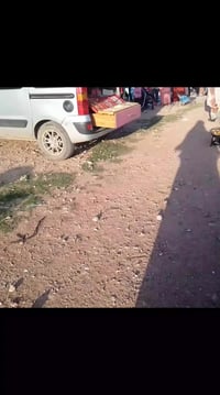 اكسسوارات شخصية • مستلزمات شخصية