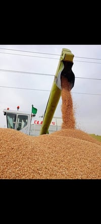 حاصد • موديل ٨٩ • محرك نضيف