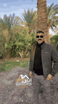 ✅ اعلان رقم ( 221 ) السلام عليكم نصف دونم سند 25  طابو بستان مثمر يصلح...