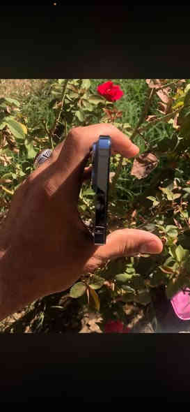 السلام عليكم 
13برو ماكس 
فول نضافه 
128
تك
مبدل شاشه وبطاريه مال تفصيخ شرط 
لون بحري 🔴فيس ايدي شغال 
مع لاصق وحمايه كامرات 
شاصي ضهر نضيف شرط 
كامرات فول 
للاستفسارات الاتصال أو خاص ***********
