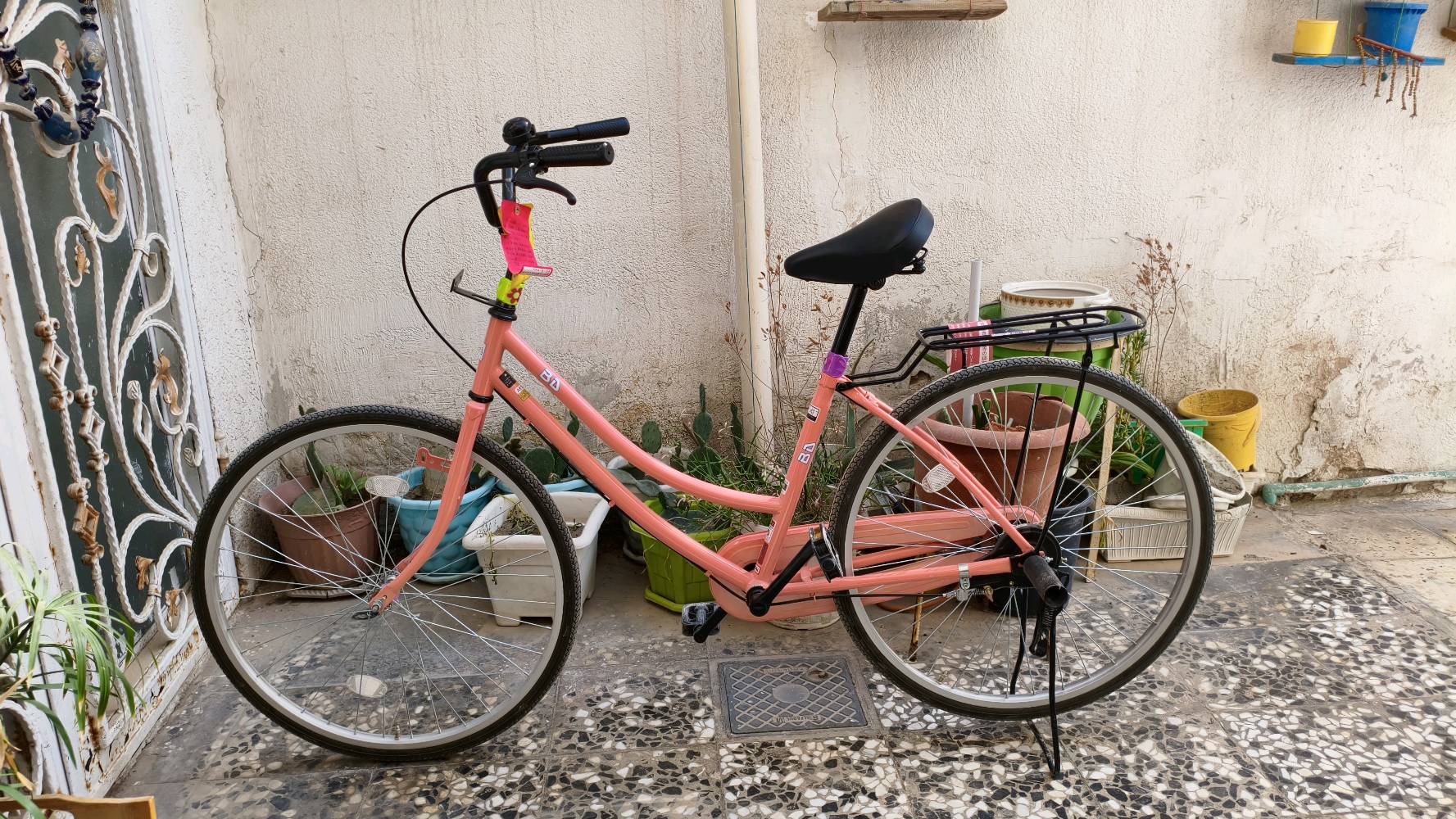 باسكل وردي مديل 20 مكان نجف حي غدير سعر 130باسكل كفاله