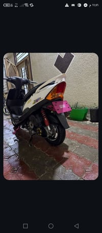 ماكس عدلة • هاون ٥٥ • ويل نجمة