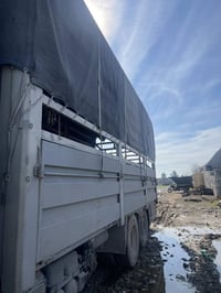 حمداني • ٧٫٢٥×٣م • سليمانية