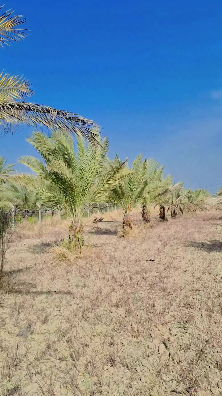 *********** فارس الشمري  ✅️
