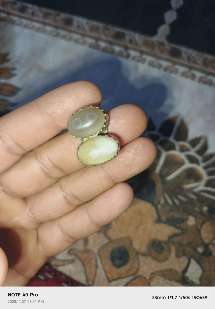 لبيع او المراوس


**إذا كنت صاحب هذا الإعلان وتريد حذفه لأي سبب، رجاءا أرسل رسالة إلى الدعم الفني**