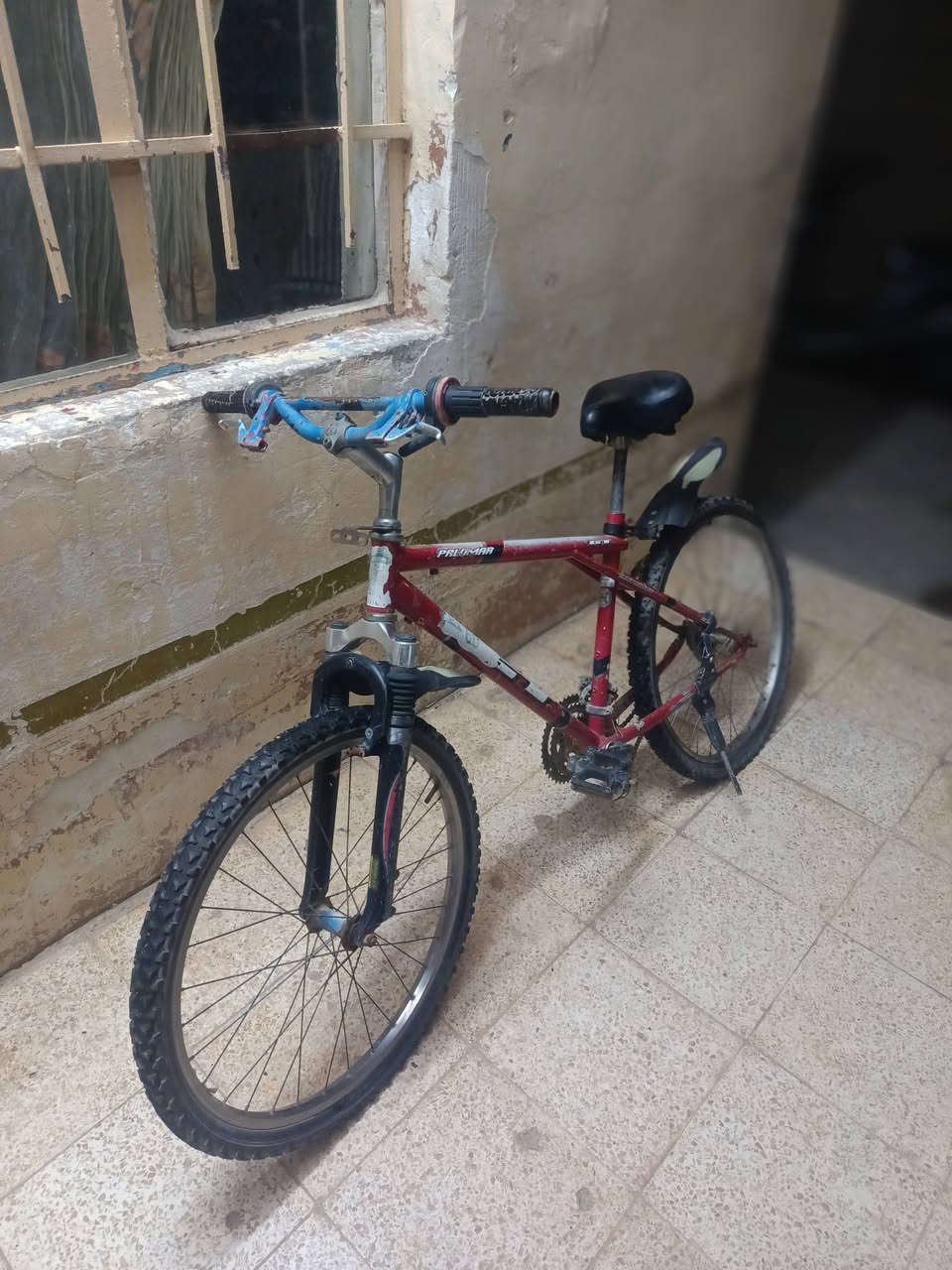 بيسكل البيع متروكه حجم 24


**إذا كنت صاحب هذا الإعلان وتريد حذفه لأي سبب، رجاءا أرسل رسالة إلى الدعم الفني**