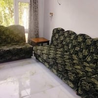 ديوان عراقي • خشب ثقيل • ١٠متر