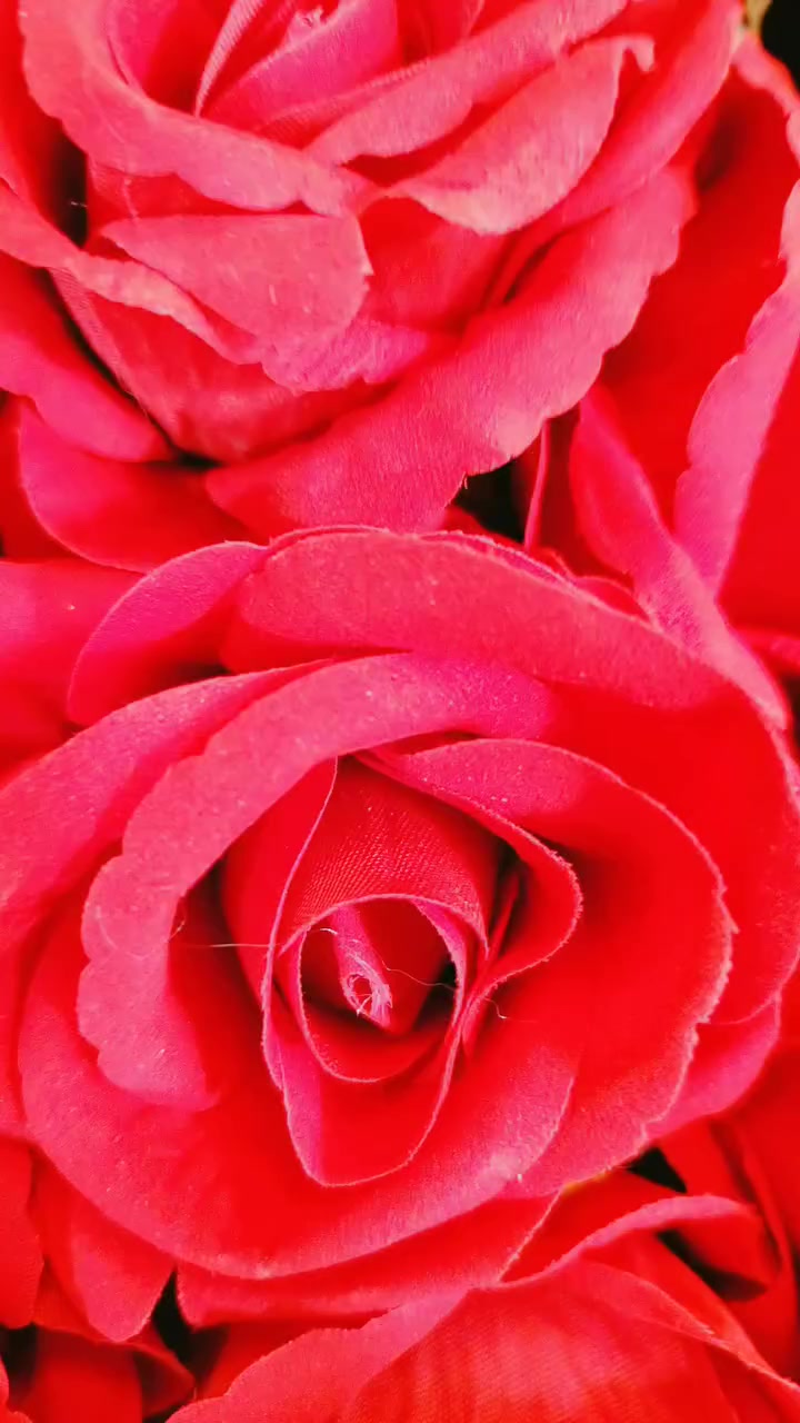 بوكيه ورد السعر 15 😍 العنوان بلدروز نهاية شارع المسبح #سمايل للهدايا مجاور  مكہٰتہٰب فدك  يتوفر توصيل بلدروز وجميع المحافضات ه‍ *********** او ***********
