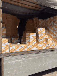 يا الله وصلنا بضاعه جديد خميره فوريه وزن 450 غرام عدد كارتون 20 قالب نوع فيرمان إيراني الوكيل الحصري في العراق كمى وصل لدينا علاكه أفران ومخابز لون ابيض شليف وزن ٢٠ كيلو قياسات مختلفه المكان بغداد جميله يرجا التواصل خاص او على الرقم التالي *********** ملاحضه الوكيل الحصري في العراق
