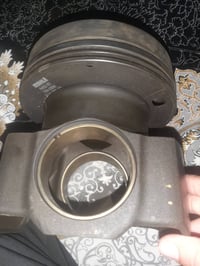 بستن أصلي أمريكي • رنكات كتر بلر