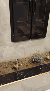 سلام عليكم يوجد قفص ديكور جمالي سعر 75وبي مجال *********** المكان الفلوجه
