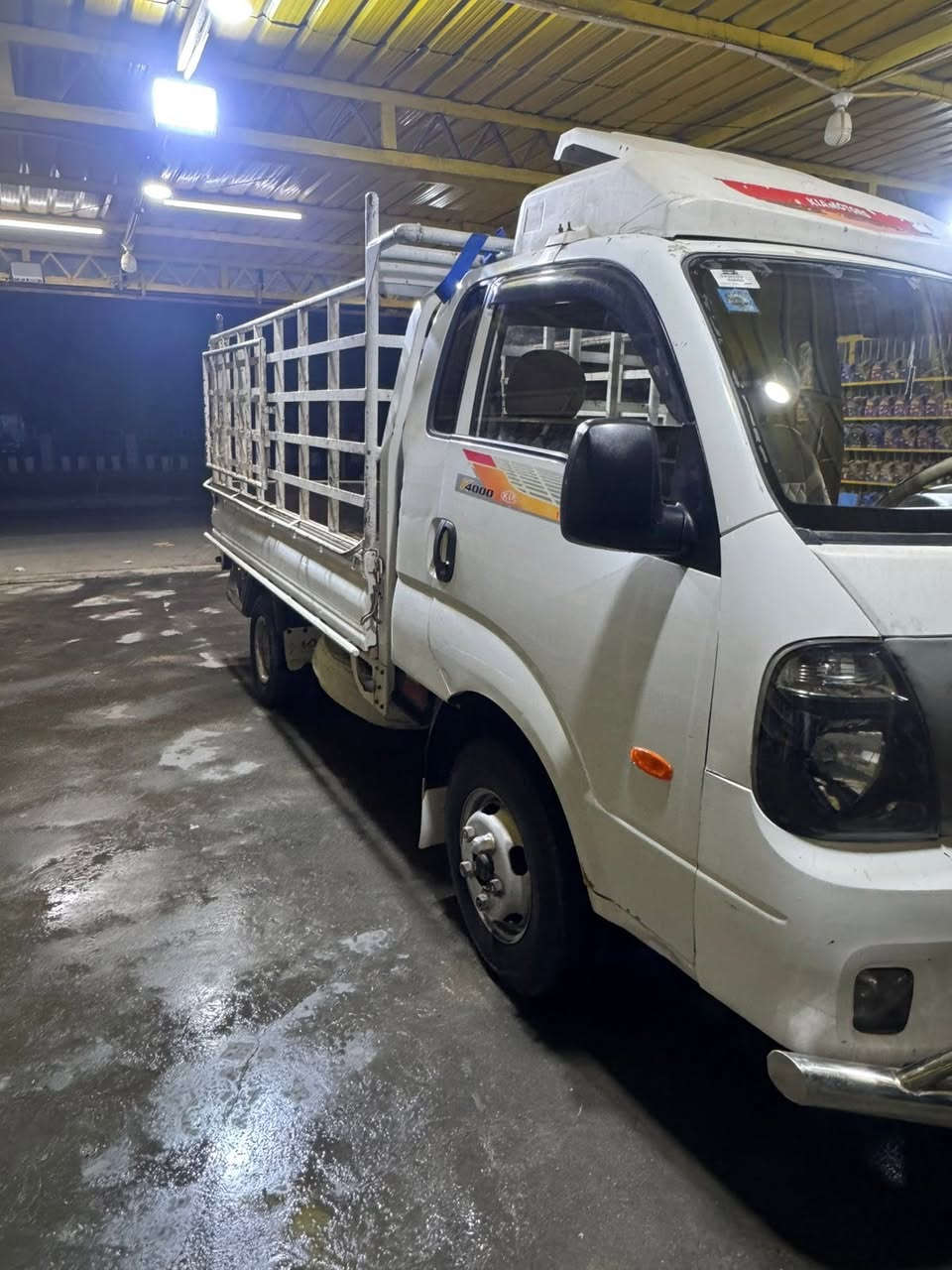 فحل مسكر مديل 2017 مجول للبيع مكفوله كفاله عامه 
مكان السماوه
