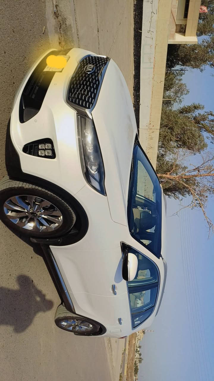 السلام عليكم
سيارة نوع سورنتو خليجي موديل2019 رقم بغداد بأسمي 
موصفات عده البنراما سياره 6 اسلندر 3300محرك سبعة راكب 3 قطع تبريد مري شفط جنطة كهربائي  كامرة حساسات  شاشة كبيرة كشنات جلد شحن واير ليس السيارة 
السيارة جديدة ماشية120
كير مكينه حدادية و تبريد كفالة السعر 255
العنوان محمودية
رقم الهاتف***********
